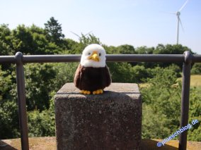 bismarckturm_hoexter_-29