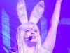 rabbitcult_1